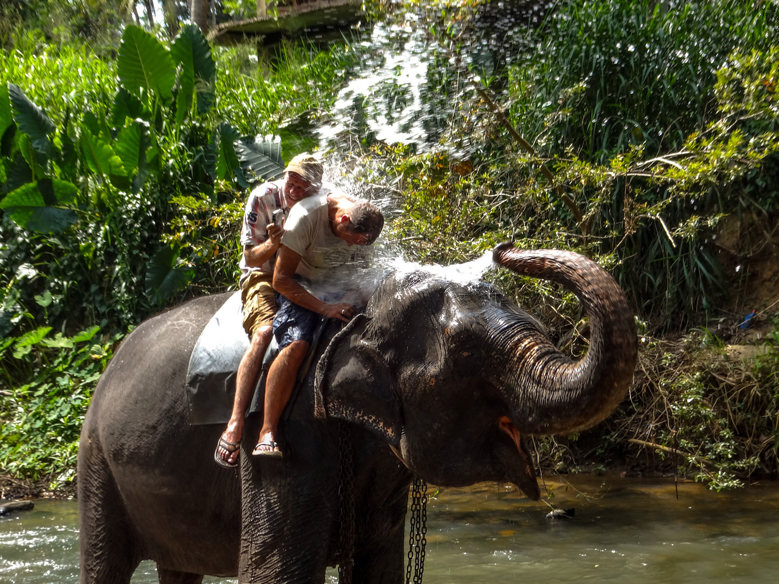 elephant-ride-sri-lanka