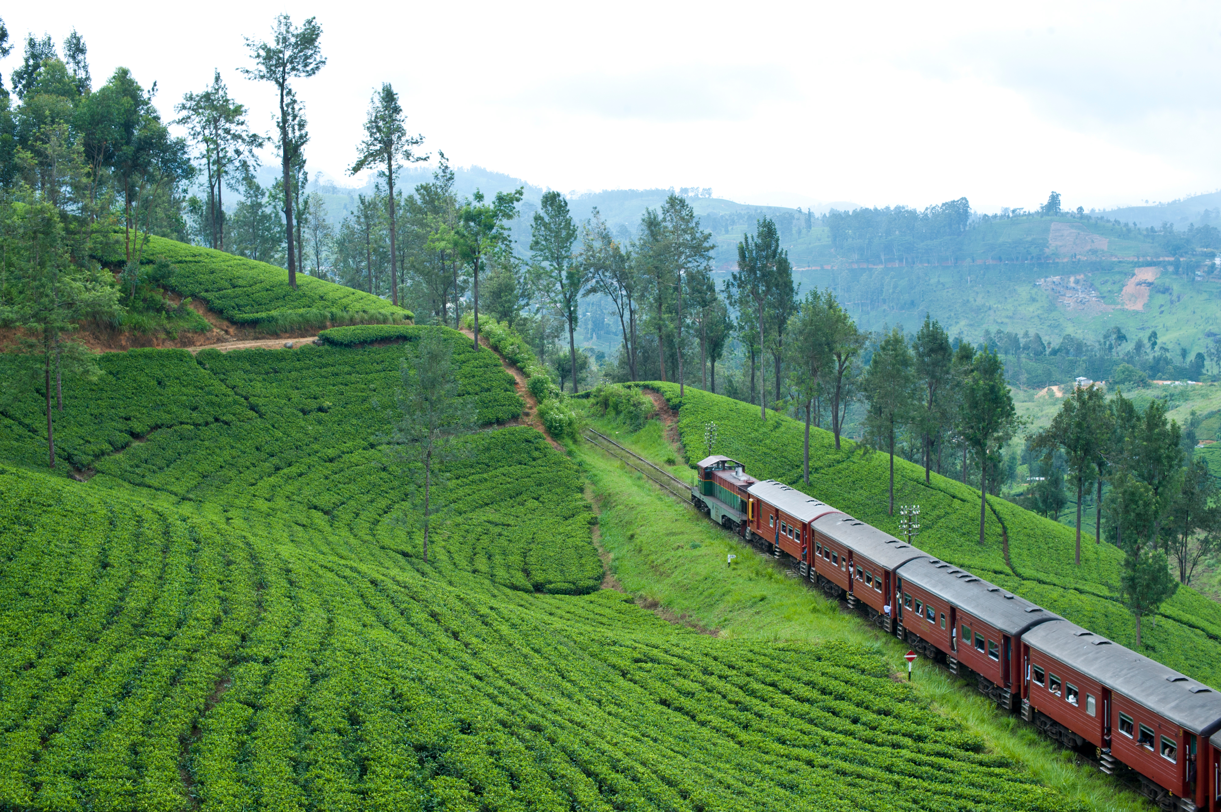 train-ride-mountainside-sri-lanka